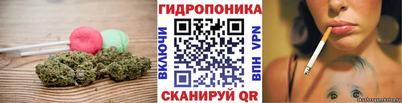blacksprut ONION  Пикалёво  Еда ТГК марихуана 