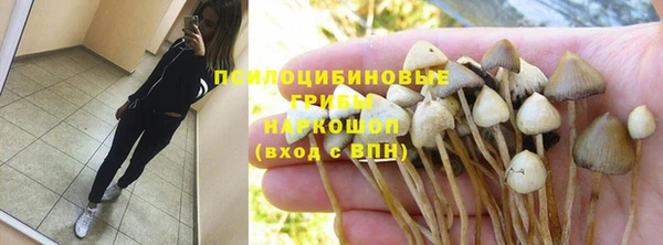 индика Алзамай