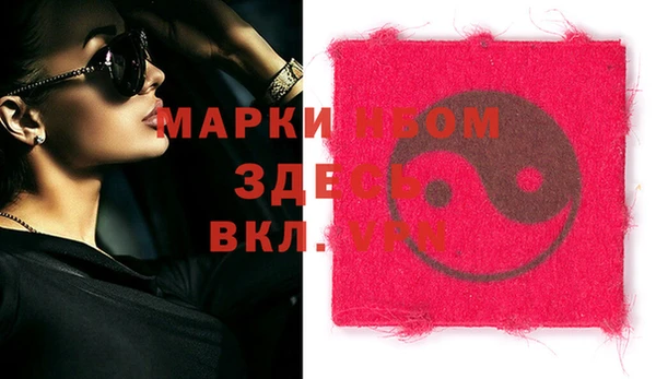 индика Новокубанск