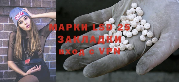 индика Алзамай
