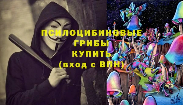 индика Алзамай