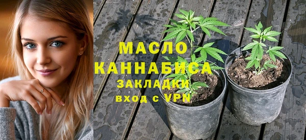СК Новодвинск