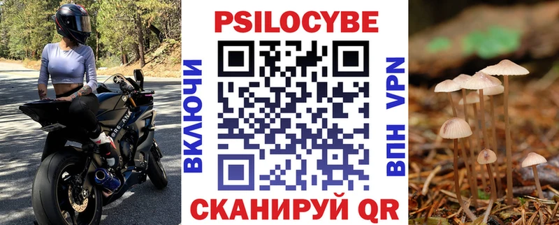продажа наркотиков  darknet клад  Галлюциногенные грибы Cubensis  Пикалёво 